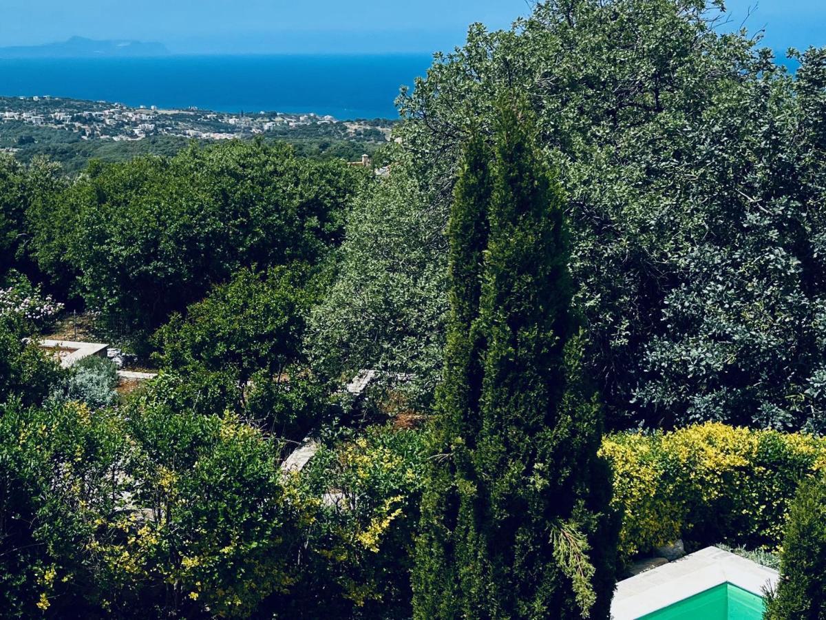 Villa Olympia - Villa Erato Prinés エクステリア 写真